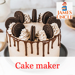 Cake maker Sangita Pal in Asansol